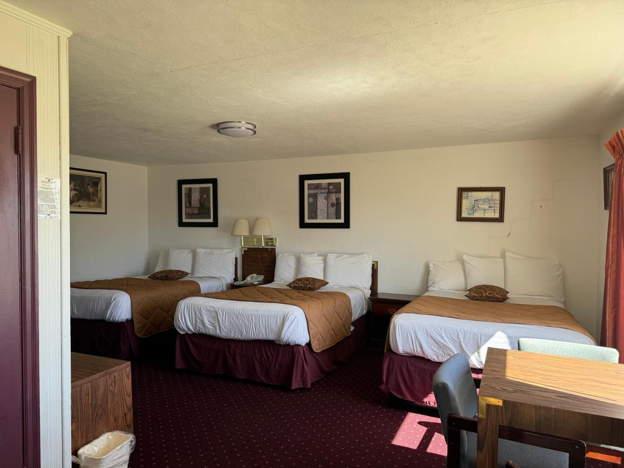 Royal Inn Albany Kültér fotó